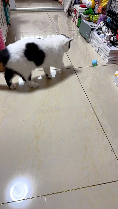 Smart Interactive Rolling Ball for Cats – Electronic Indoor Toy